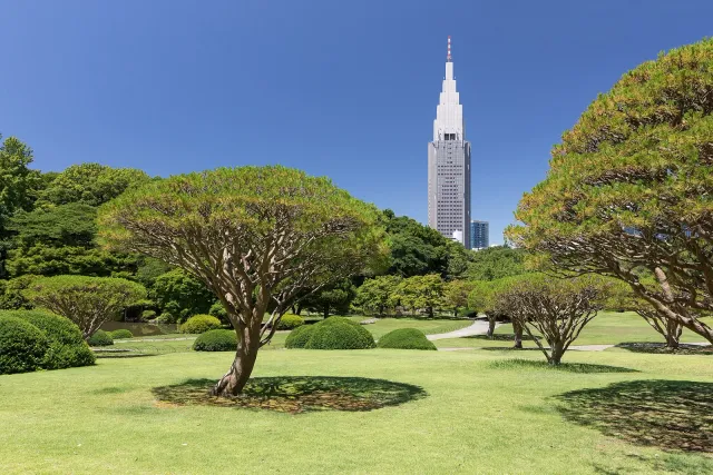 Shinjuku Gyoen National Garden and NTT DoCoMo Yoyogi Building, Tokyo, Japan