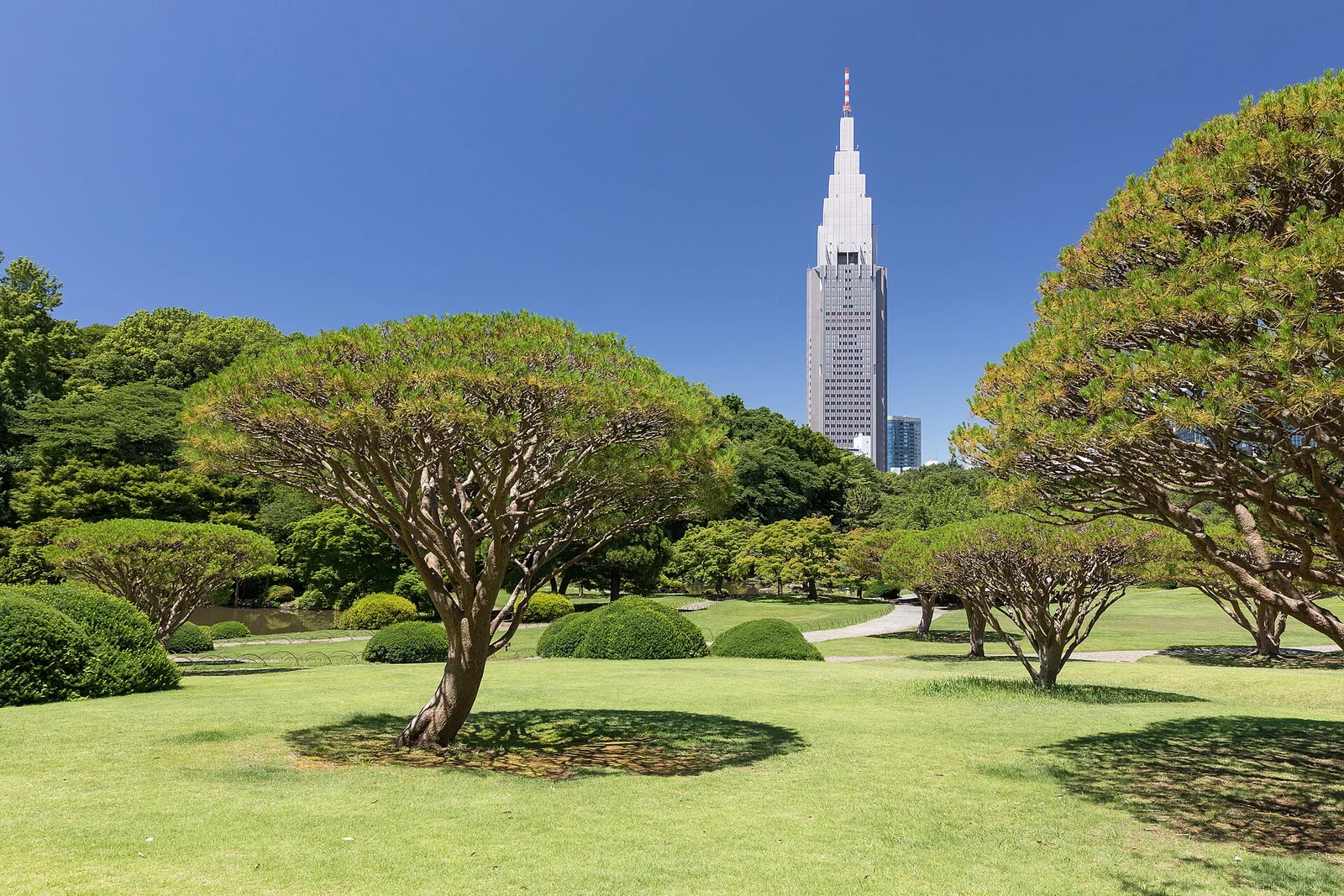 Shinjuku Gyoen National Garden and NTT DoCoMo Yoyogi Building, Tokyo, Japan
