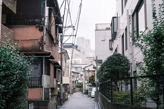 A quiet residential lane in Shinjuku, lined with homes, green hedges, and overhead wires.